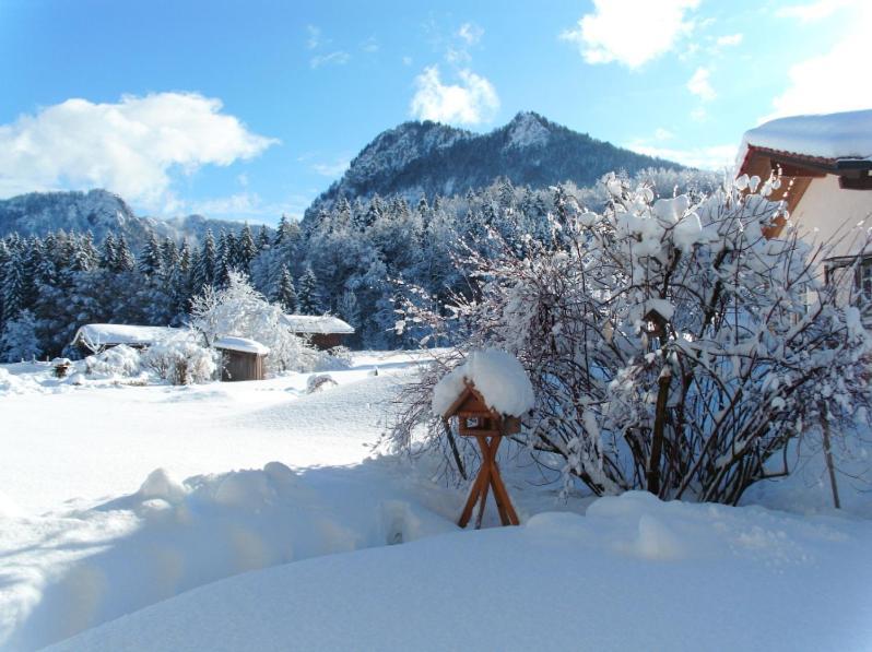 Ferienwohnungen Lackner - Chiemgau Karte انزل المظهر الخارجي الصورة